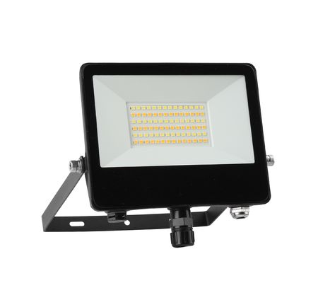 kupować Światło zewnętrzne LED 30W Światło zewnętrzne AC220V produkcja online