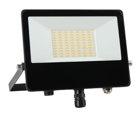 comprar CCT IP65 50W Luz de inundação LED à prova d'água exterior com sensor de movimento PIR Fabricação em linha
